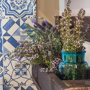 https://new-home-appartamento-in-centro-storico.in-sardinia.net